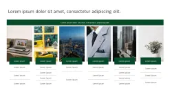 Presentation sample 13